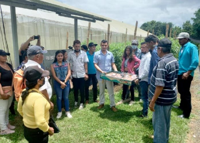 Se realiza II encuentro de Jóvenes Innovadores en Tecnologías Digitales en Jinotepe-Carazo