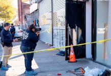 Corre la sangre en una fiesta de Halloween en Brooklyn tras un tiroteo Corre la sangre en una fiesta de Halloween en Brooklyn tras un tiroteo