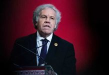 Investigan al secretario general de la OEA por «amoríos» con una asistente Investigan al secretario General de la OEA por "amoríos" con una asistente