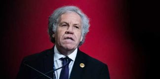 Investigan al secretario General de la OEA por "amoríos" con una asistente