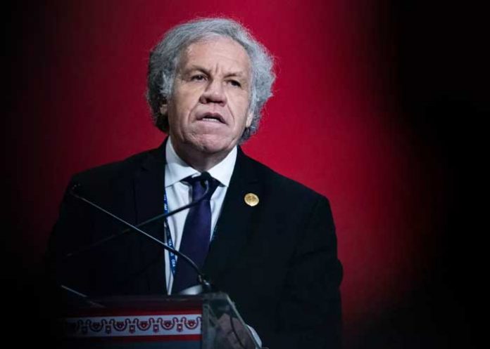 Investigan al secretario General de la OEA por 