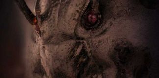 Horripilante cara de la hormiga aterroriza a los usuarios del internet