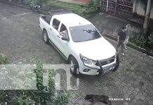 Camioneta mata de forma cruel a un perro en una calle de La Concepción, Masaya
