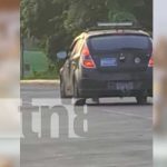 Buscan a sinvergüenza por circular con placa «hechiza» en calles de Managua Vehículo con placa "hechiza" en calles de Managua