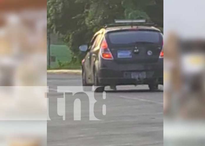 placa-hechiza-1 Vehículo con placa