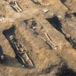 La peste negra de hace 700 años sigue afectando tu salud ahora