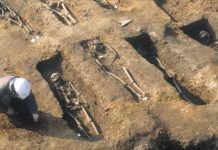 La peste negra de hace 700 años sigue afectando tu salud ahora La peste negra de hace 700 años sigue afectando tu salud ahora