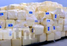 Nicaragua: Lider a nivel centroamericano de producción y exportación de lácteos Nicaragua: Lider a nivel centroamericano de producción y exportación de lácteos