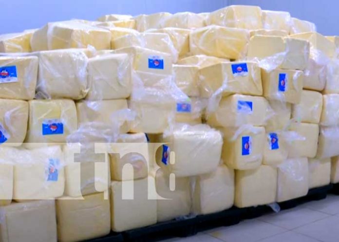 Nicaragua: Lider a nivel centroamericano de producción y exportación de lácteos