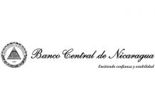 Informe del BCN acerca de la evolución de la inversión extranjera