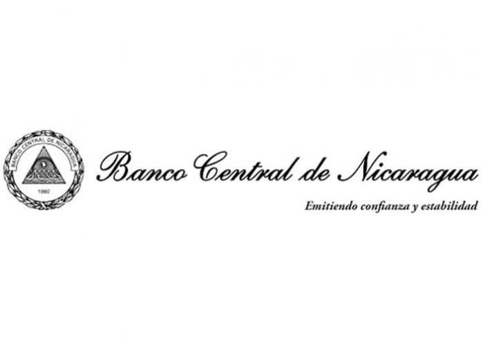 Informe del BCN acerca de la evolución de la inversión extranjera