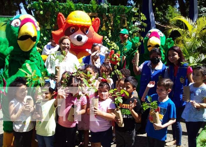 Reforestación para resarcir los daños del huracán Julia en Nicaragua