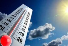 Letal ola de calor dejó más de 3 mil muertos en Reino Unido Letal ola de calor dejó más de 3 mil muertos en Reino Unido