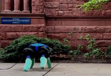 El robot inspirado en las tortugas que promete ayudar a la preservación ambiental El robot inspirado en las tortugas que promete ayudar a la preservación ambiental