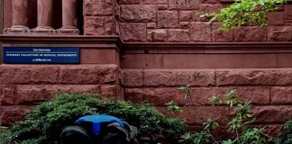 El robot inspirado en las tortugas que promete ayudar a la preservación ambiental