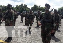 Ejército de Nicaragua asegurará la cosecha cafetalera de zonas de Managua Ejército de Nicaragua listo para proteger la cosecha cafetalera