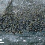 Impresionante: «El terremoto que duró semanas»