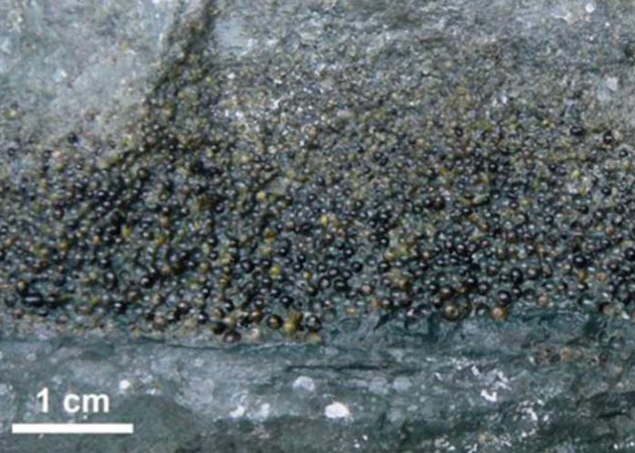 Impresionante: «El terremoto que duró semanas»