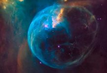 ¿Qué opinan? Expertos detallan cómo será «el fin de la vida» en la Tierra Así sería el fin de la vida en la Tierra, según Agencia