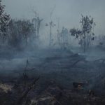 Los gases de efecto invernadero alcanzan niveles récord