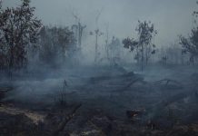 Los gases de efecto invernadero alcanzan niveles récord