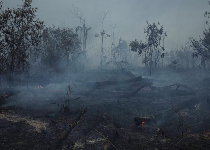 Los gases de efecto invernadero alcanzan niveles récord