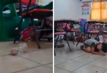 Un muerto y heridos es el saldo de un tiroteo en zona escolar de México Tiroteo en zona escolar de México deja un muerto y heridos