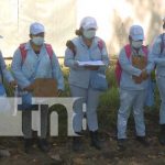 Eliminación de zancudos en barrios de Managua