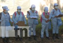 Eliminación de zancudos en barrios de Managua
