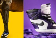 ¡Locura total! Diseñador lanza nueva línea de zapatos para caballos ¡Locura total! Diseñador lanza nueva línea de zapatos para caballos