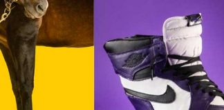 ¡Locura total! Diseñador lanza nueva línea de zapatos para caballos