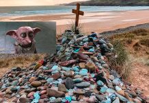 Piden a fans de ‘Harry Potter’ no dejar calcetines en la tumba de Dobby Piden a fans de ‘Harry Potter’ no dejar calcetines en la tumba de Dobby