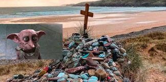 Piden a fans de ‘Harry Potter’ no dejar calcetines en la tumba de Dobby
