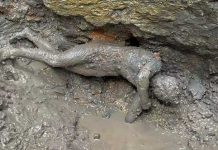 Descubren en Italia 24 estatuas de bronce bien conservadas Descubren en Italia 24 estatuas de bronce bien conservadas