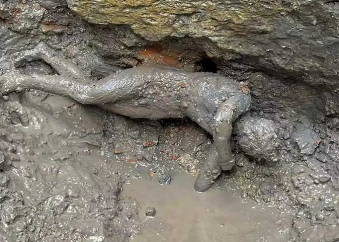 1 Descubren en Italia 24 estatuas de bronce bien conservadas