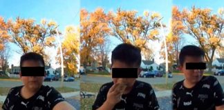 "No lo juzgo" Niño busca reconciliación con tacos pero se los comió antes