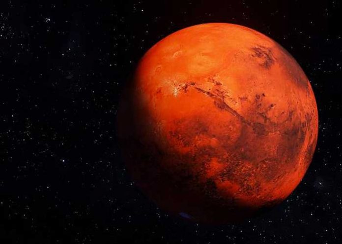 ¡De locos! Encuentran un pato en el planeta Marte (FOTO)