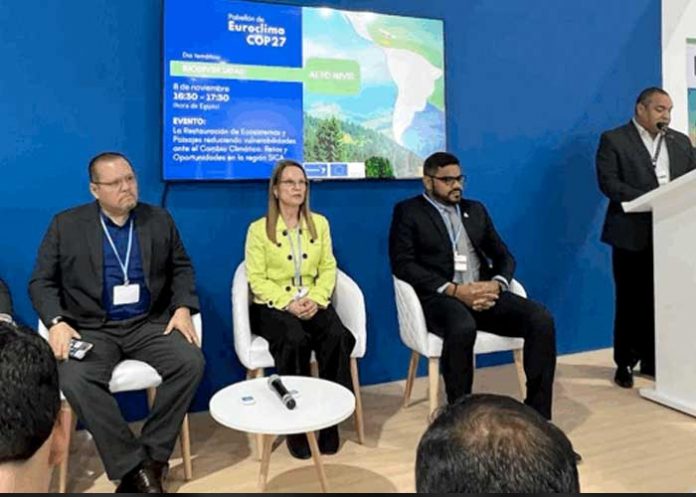 1 Delegación de Nicaragua participa Cumbre del Clima COP 27