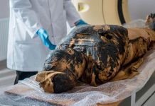 Reconstruyen el rostro de una momia egipcia que estaba embarazada
