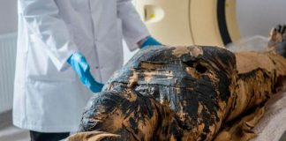 Reconstruyen el rostro de una momia egipcia que estaba embarazada