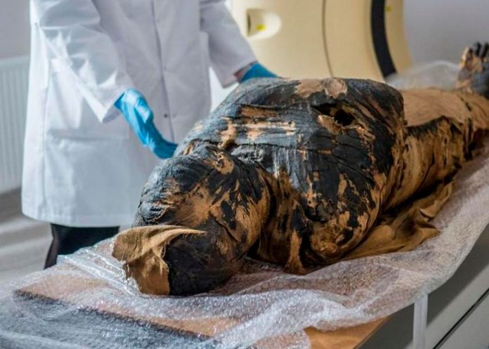 Reconstruyen el rostro de una momia egipcia que estaba embarazada