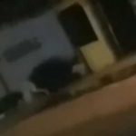 En video, captan a “La llorona” caminando “como animal” En video, captan a “La llorona” caminando en “como animal”