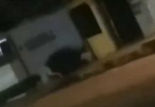 En video, captan a “La llorona” caminando “como animal” En video, captan a “La llorona” caminando en “como animal”