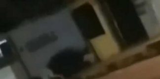 En video, captan a “La llorona” caminando en “como animal”
