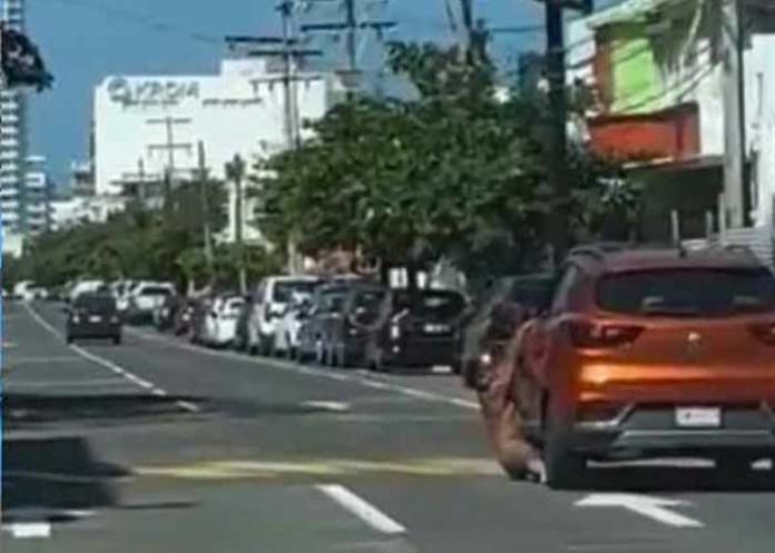 ¿Lo dejó la mujer? Hombre en “bolas” cuelga de un vehículo (VIDEO)