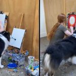 Perro enternece a toda una plataforma por hacer arte con su hocico Perro enternece a toda una plataforma por hacer arte con su hocico