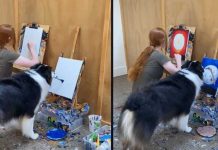 Perro enternece a toda una plataforma por hacer arte con su hocico