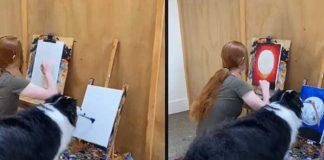 Perro enternece a toda una plataforma por hacer arte con su hocico