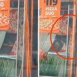 ¡Guácala! Reconocida pizzería reutiliza las cajas de la basura ¡Guácala! Reconocida pizzería rehúsa las cajas de la basura