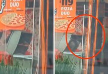 ¡Guácala! Reconocida pizzería reutiliza las cajas de la basura ¡Guácala! Reconocida pizzería rehúsa las cajas de la basura